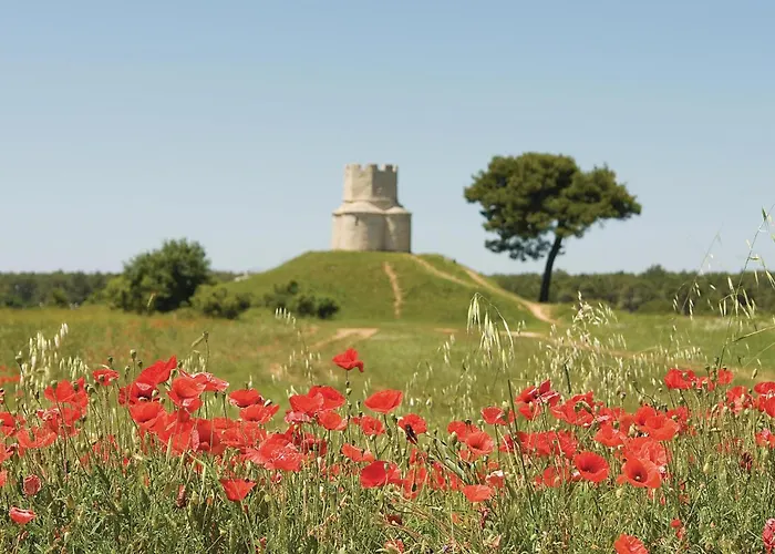 Stunning In With Wifi Nin